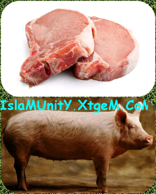 Why Pork (Pig’s Meat) is forbidden in Islam ?